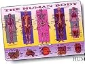 Human Body Placemat by M. Ruskin
