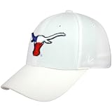 Zephyr Texas Longhorns White Patriotic Fitted Hat