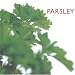 Book Parsley (Little Kitchen Collection (Southwater))