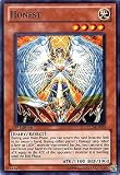 YuGiOh 5D's Lost Sanctuary Structure Deck Single Card Honest SDLS-EN020 Common