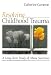 Resolving Childhood Trauma: A Long-Term Study of Abuse Survivors: A Long-term Study of Abuse Survivors
