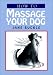 How to Massage Your Dog