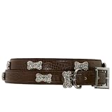 Rhinestone Bones Dog Collar - Brown, Large (18-22 x 1W)