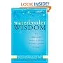 Watercooler Wisdom: How Smart People Prosper in the Face of Conflict, Pressure, & Change