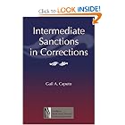Intermediate Sanctions in Corrections (North Texas Crime and Criminal Justice Series) by Gail Caputo