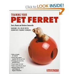 Training Your Pet Ferret (Training Your Pet Series)