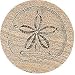 Thirstystone 4-pc. Sand Dollar Coaster Set BROWN 4 Piece Set