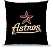 Biederlack Houston Astros Floor Pillow