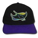 MLB TAMPA DEVIL RAYS BLACK COTTON INFANT KIDS CAP HAT