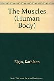 The human body, the muscles