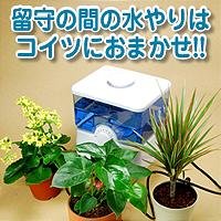 自動水やり機