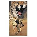 Badetuch, Strandtuch, Handtuch - Gepard - Motiv: Cheetah - Gepard - traumhaft sch�n - 100 % Baumwolle - Gr�sse: ca. 75 x 149 cm - NEU