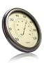 Timex TX3000-2 11.06-Inch Patio Thermometer with Glass Lens and PVC Dial (Copper)