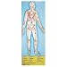 Melissa & Doug Human Body 100 pc Floor