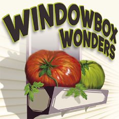 Windowbox Wonders (3 Live Heirloom Tomato Plants)