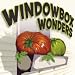 Windowbox Wonders (3 Live Heirloom Tomato Plants)