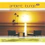 Ambient Lounge, Vol. 9
