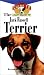 The Jack Russell Terrier: An Owner's Guideto aHappy Healthy Pet