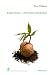 Emotion et psychoth�rapie