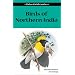 Birds of Northern India