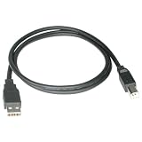 Cables To Go 28103 USB 2.0 A Male to B Male Cable, Black (9.8 Feet 3 Meters) by