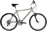 Motobecane Jubilee Deluxe Comfort Bike