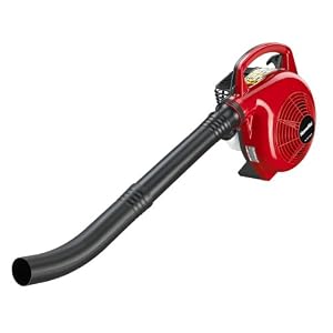 Factory Reconditioned Homelite 25cc Gas Powered Yard Broom Hand Held Blower ZR08110