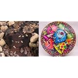 All Star Chocolate 10" Coffee Cake Party Gift Tin by 