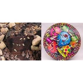 All Star Chocolate 8" Coffee Cake (Party Gift Tin)