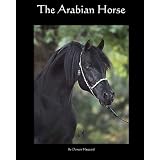 The Arabian Horse