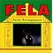 FELA KUTI FOR BEGINNERS - 10 DISCS