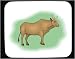 Mouse Pad with cow, steer, cattle, bull Image