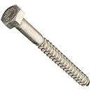 The Hillman Group 832040 5/16 x 3-Inch Stainless Steel Hex Lag Screw, 25-Pack