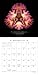 Flowers: A Universe Revealed 2015 Wall Calendar