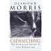 Catwatching: The Essential Guide to Cat Behaviour