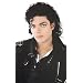 Michael Jackson Curly Thriller Wig