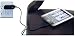 iConcepts Travel Charger For Toshiba E310/570 and Audiovox Maestro