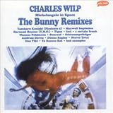 Charles Wilp｜Michelangelo in Space: The Bunny Remixes