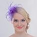 FAYBOX Big Flower Mesh Bow Feather Women Fascinator Dot Veil Hair Clip PUR