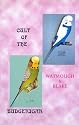Cult of the Budgerigar (Aviary Birds)
