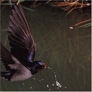 Mike Oldfield - Complete Mike Oldfield - Zortam Music