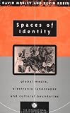 View Book 'Spaces of Identity: Global Media, Electronic Landscapes and Cultural Boundaries (The International Library of Sociology)'