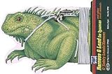 Vo-Toys Iguana Harness and Lead 6ft