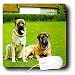 Dogs Mustiff - Mastiff - Mouse Pads