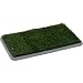 PET POTTY PATCH