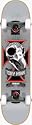 Birdhouse (CPX1034) Tony Hawk Skull 2 Series 7.5-Inch Full Size Complete Skateboard (Silver)
