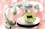 Elegant Antique French Phone TelePhone w/Antique Rotary Dial