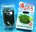 沖縄県産”海ぶどう！たっぷりと”480g（120g×4箱) 塩漬け海ぶどう！