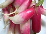 French Breakfast Radish 600 Seeds - B001KCYG3O