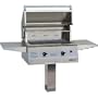 Solaire Gas Grills 27 Inch Basic All Convection Natural Gas Grill On In-ground Post